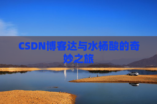 CSDN博客达与水杨酸的奇妙之旅
